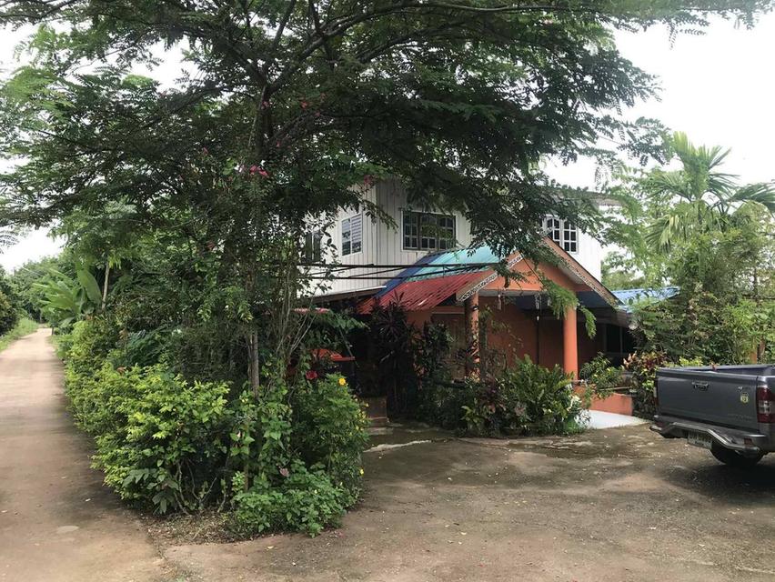 บ้านพร้อมที่ดิน 2