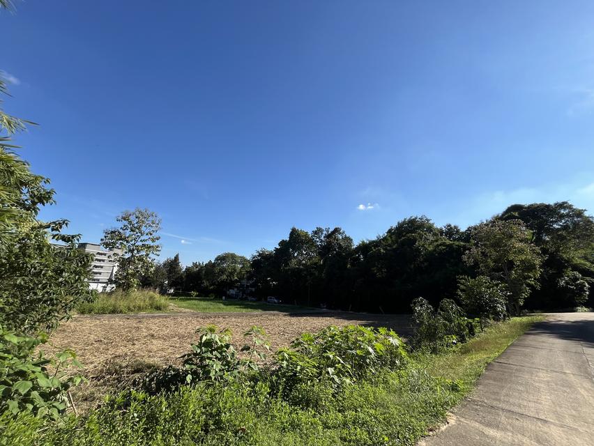 บ้าน ที่ดิน ขาย ให้เช่า 1