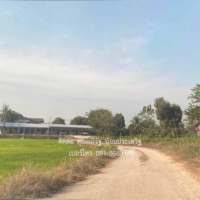 ที่ดินเปล่าราคาถูก 13 ไร่ 85 ตารางวา ตารางวาละ 1,000 บาท ต.หัวดง อ.เก้าเลี้ยว จ.นครสวรรค์ 4