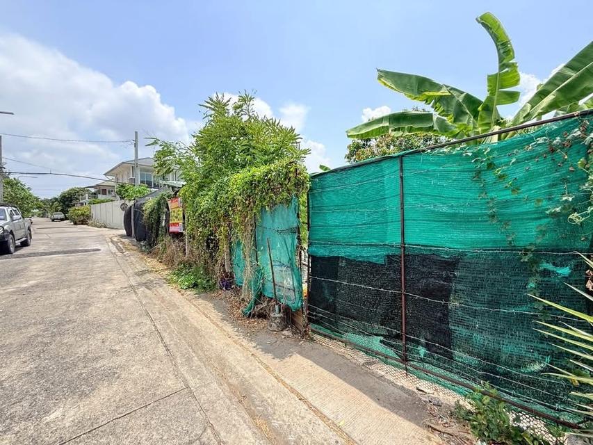 ขายด่วนทีดินใกล้รถไฟฟ้า 120 ตารางว) ( ติดถนนคอนกรีต 2 ด้าน ซอย กาหลง 7,8 เมืองนนทบุรี รูปย่อยที่ 4