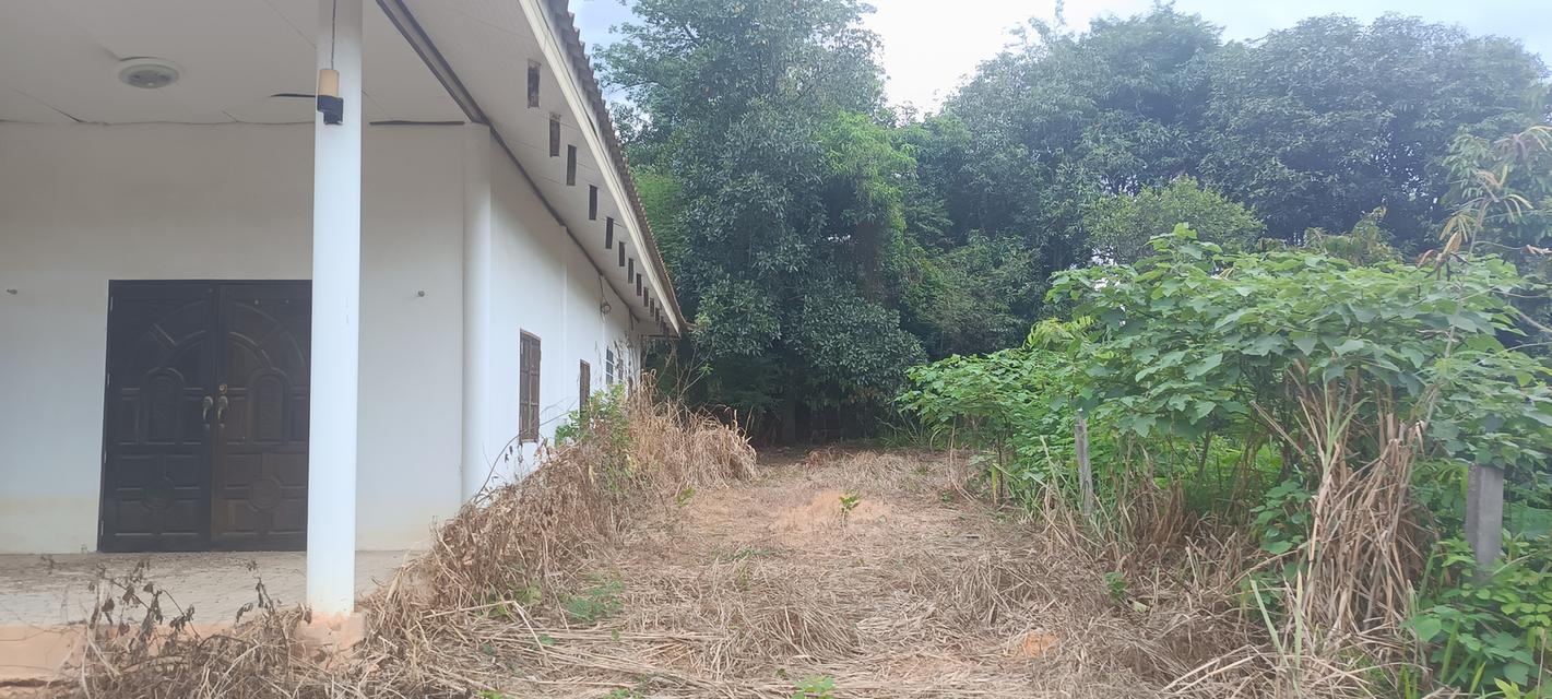 ขายที่ดินพร้อมบ้าน หมู่บ้านทองหลาง ตำบล คอกควาย อำเภอ บ้านไร่ จังหวัด อุทัยธานี 4