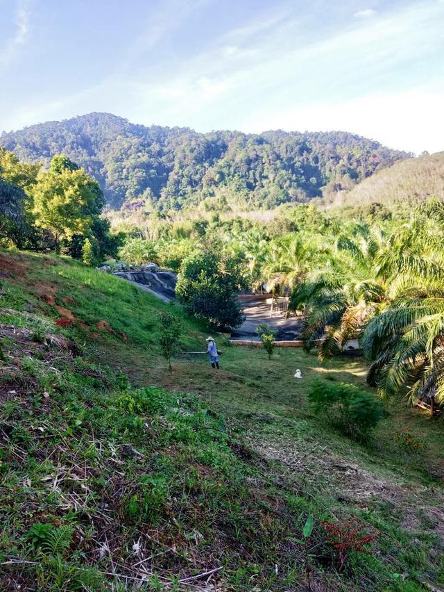 ที่ดิน 20 ไร่พังงาแถวตะกั่วป่า 2