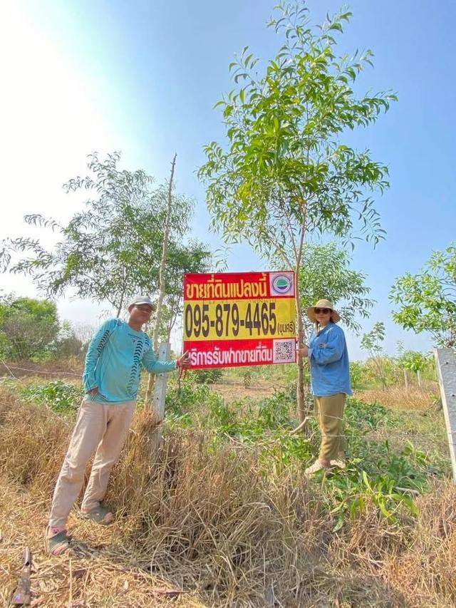 ขายถูกทีดิน 400 ตารางวา ติดถนนสาธารณะใกล้ซอยอยู่รวย แลนด์ หนองสามวัง หนองเสือ 1