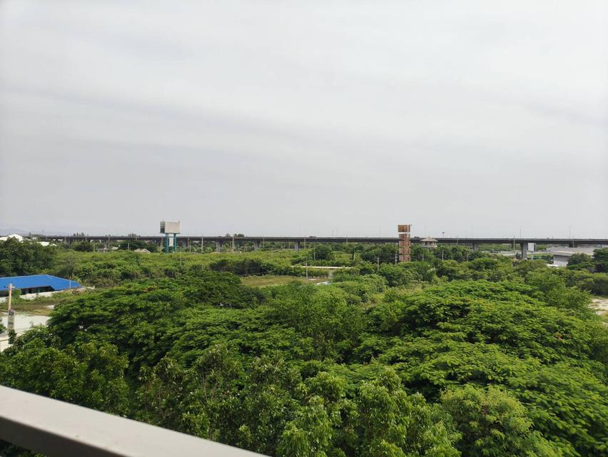 พีเจ เอราวัณ คอนโด (PJ ERAWAN CONDO) บางนาตราด กม.39 17