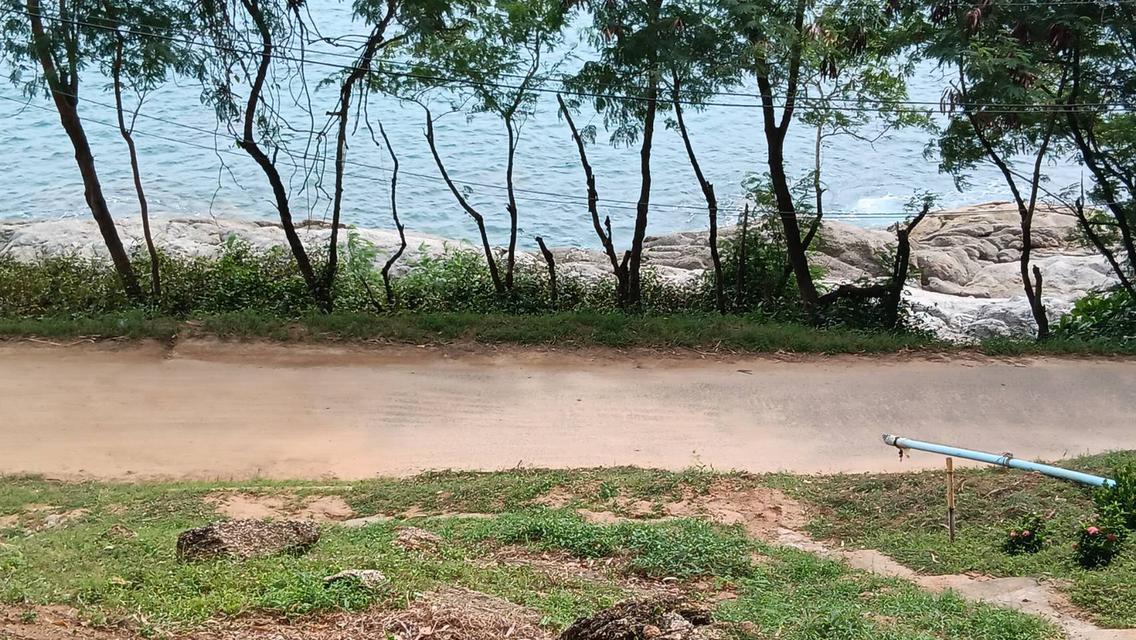 ต้องการขายที่ดินติดถนน ติดทะเล ใกล้ หาดในหาน 4