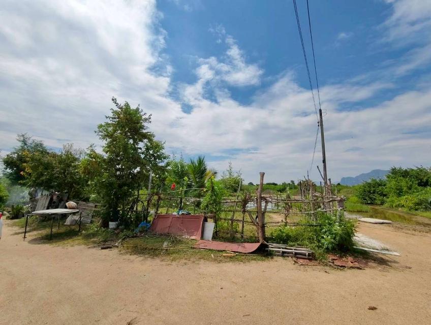 ที่ดินเปล่า 12 ไร่ อ.ชะอำ 6