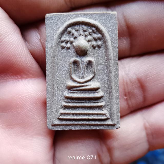 ปรกโพธิ์หลวงปู่โต๊ะ 18