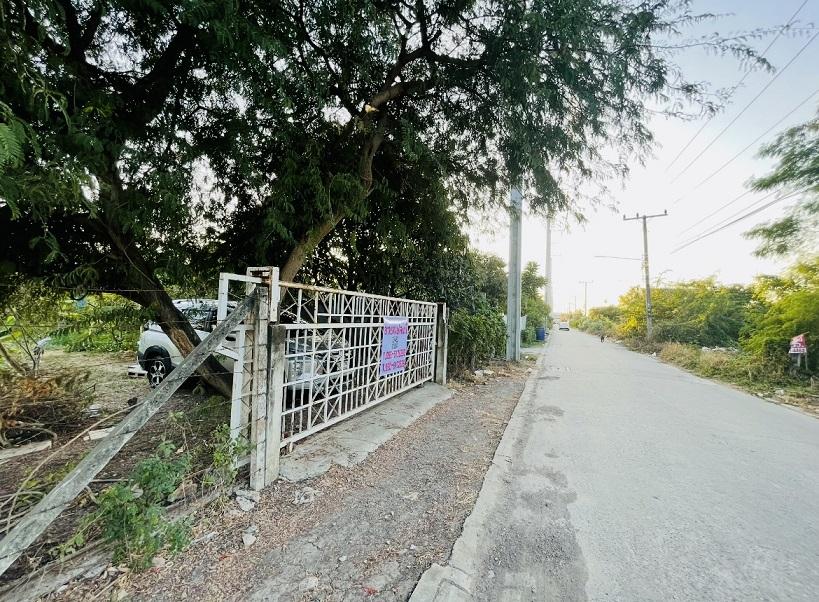 ที่ดินคลองสอง ถมแล้ว 380 ตร.ว. บงกช 47 5