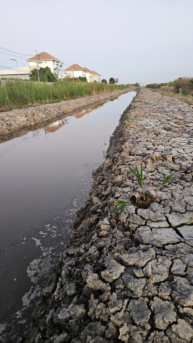 ที่ดินลำลูกกาคลองห้าปทุมธานี 2