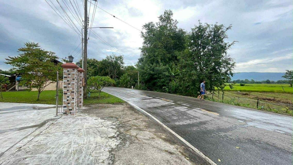 จ.เชียงราย ขายบ้านเดี่ยวพร้อมที่ดิน 8