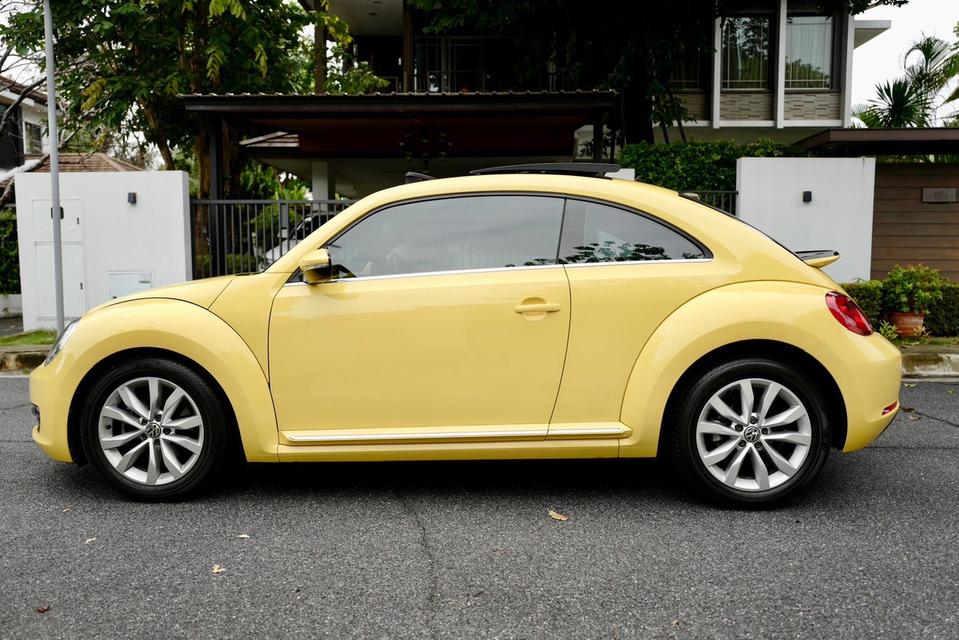 Beetle ปี 14 Discontinued เรียบร้อยแล้ว 6