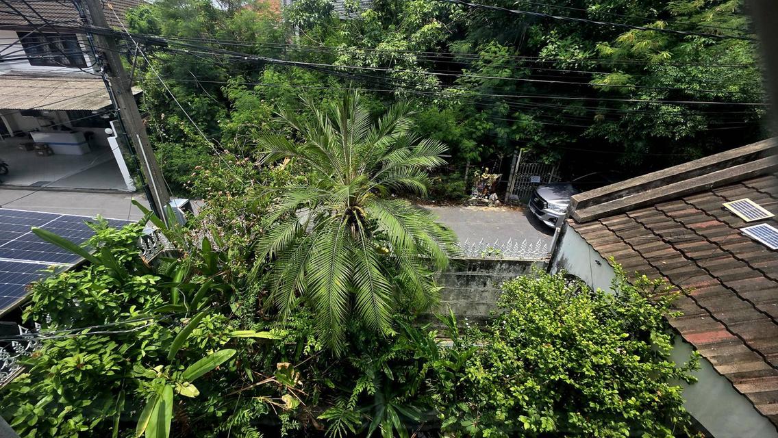 ขายบ้านเอกมัย 22 ซอยเยาวราช สุขุมวิท ที่ดิน 42 ตร.ว สภาพแวดล้อมน่าอยู่ ถนนกว้าง เข้าออกได้ทั้งเอกมัย ปรีดีพนมยงค์ ใกล้ BTSทองหล่อ Sukhumvit Ekkamai 8