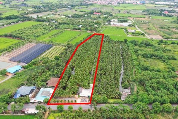 ขายที่ดินพร้อมสวนมะพร้าว บางใหญ่ นนทบุรี เนื้อที่ 7 ไร่ 2 งาน 11 ตรว. บรรยากาศร่มรื่น สวยงาม โทร 088-2559999 เจ้าของขายเอง 1