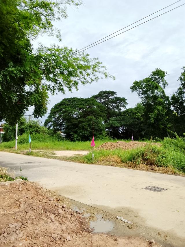 ขายที่ดิน 50 ตรว.อุทัยธานี 3