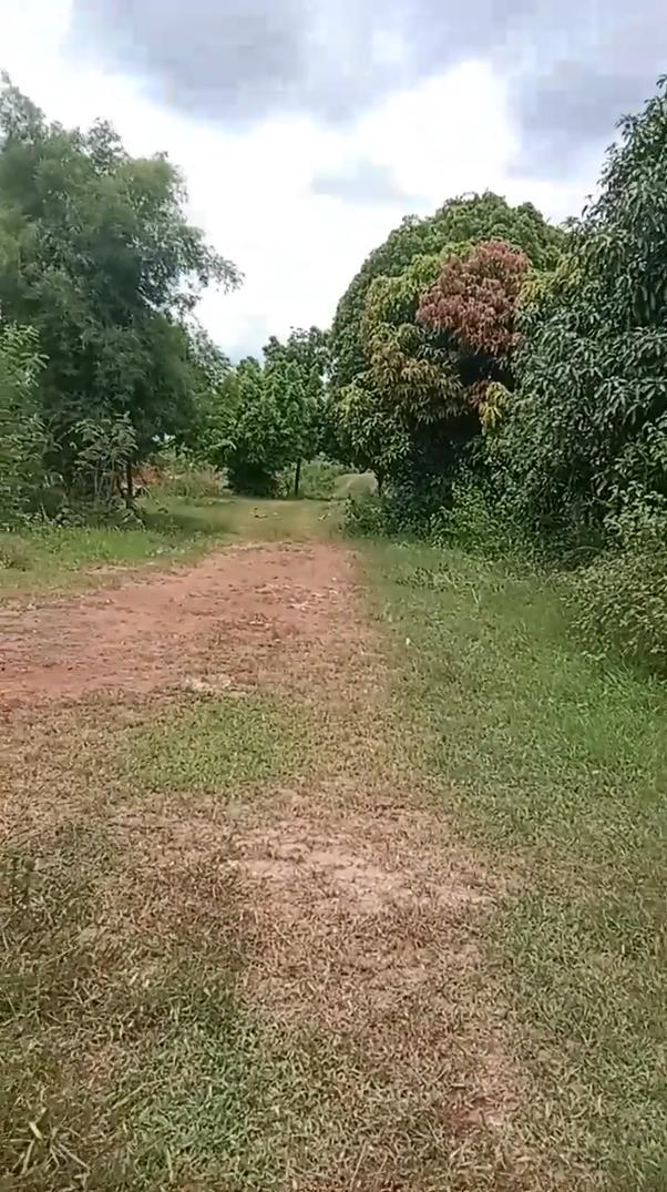 ที่ดิน จ.ราชบุรี ต.อ่างหิน อ.ปากท่อ 2