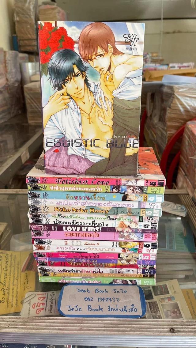 หนังสือการ์ตูน วาย BL เล่มเดียวจบ