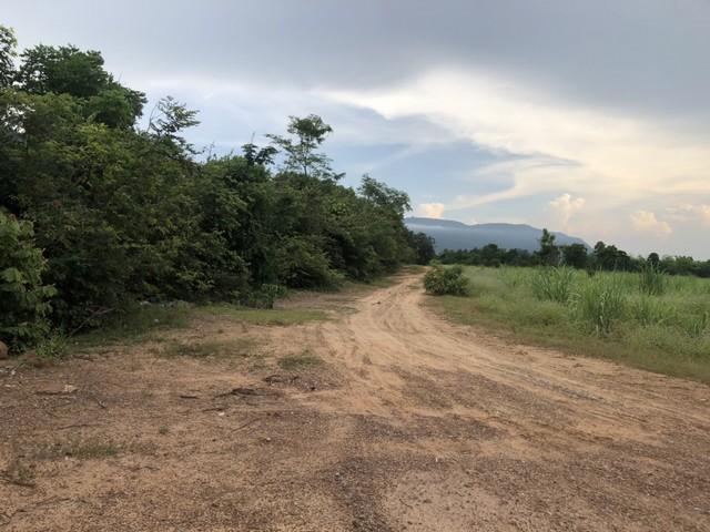 รวมบ้านที่ดินดีงามเพื่อคุณ ขายที่ดินสวยติดภูเขา เทือกเขายาวเรียงแนว ดินดีสมบูรณ์ทรัพย์ในดิน ฟ้าใสวิวหลักล้าน ต.นาจาน อ.ส 1