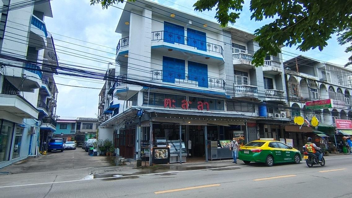 ขายด่วน อาคารพาณิชย์ แปลงมุมติดถนนสวนผัก 1