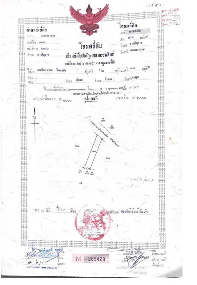 #เจ้าของขายเองทีีดินติดถนนถูกๆ💝 ขายที่ดิน 2 แปลง ติดถนนหลวงเส้นบรบือ -บุรีรัมย์ (219) เหมาะกับการปลูกบ้าน ค้าขาย หรือทำธุรกิจอื่น 2