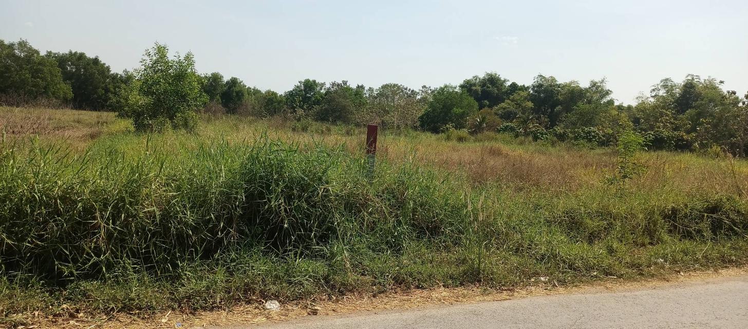 ขายที่ดินเปล่าแปลงใหญ่ 2 แปลงติดกัน ตำบลดงละคร อำเภอเมืองนครนายก จังหวัดนครนายก 8