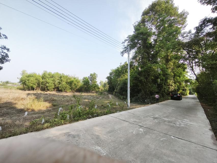 ขายที่ดิน 4 ไร่เศษ ไกล้นิคม 304 1