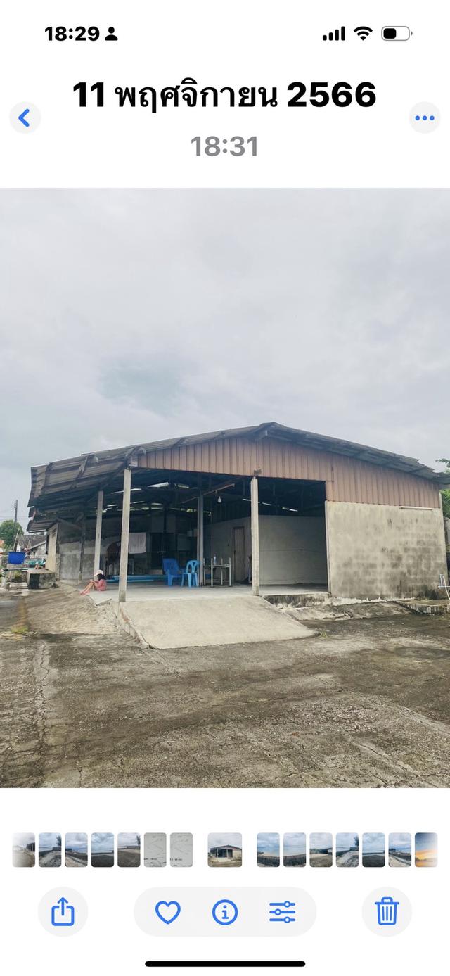 ที่ดินติดทะเลวิวสวยมากกกๆๆจอดเรือได้เลย 3