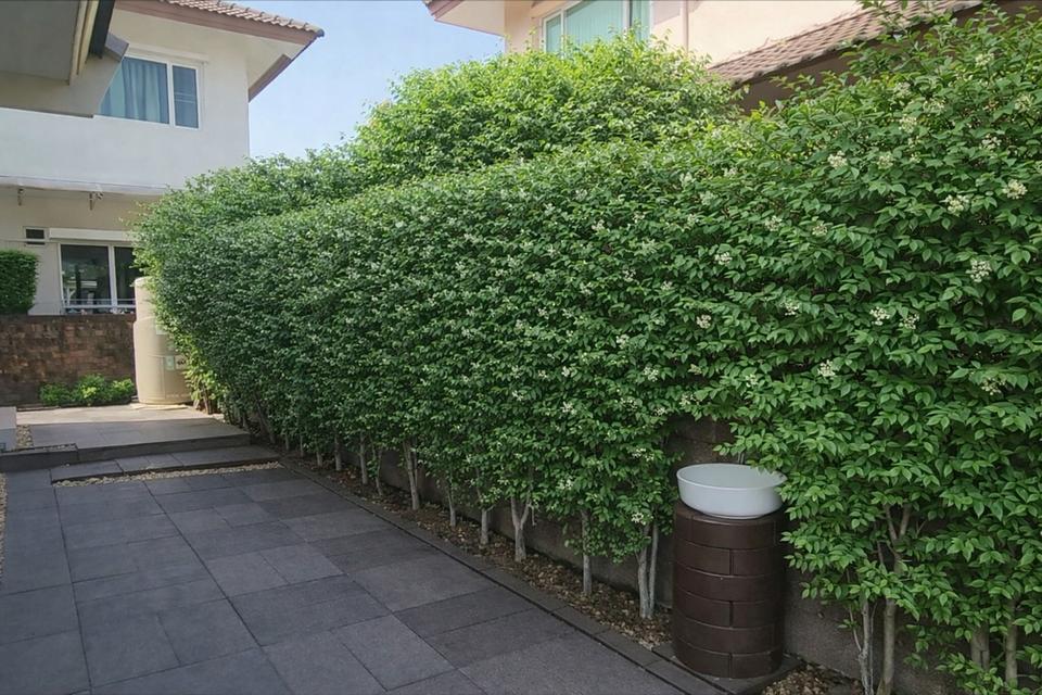 [ขายด่วน] บ้านเดี่ยวหลังริม คาซ่า วิลล์ พระราม 2-2 พื้นที่กว้าง 83.9 ตร.ว. ใกล้เซ็นทรัลเพียง 5 นาที! 20