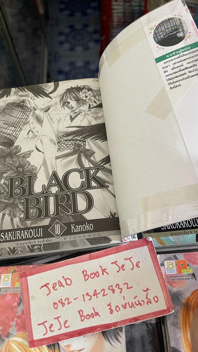 หนังสือการ์ตูน BLACK BIRD 1-18 จบ 3