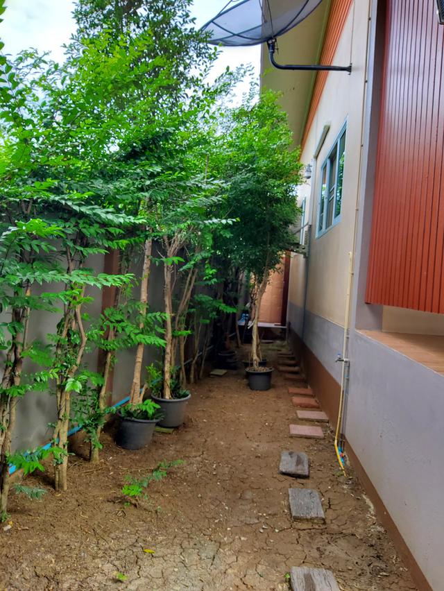 บ้านเดี่ยว(สร้างเอง) 93 ตร.วา ต.ราษฎร์นิยม ไทรน้อย นนทบุรี (เจ้าของขายเอง) 14