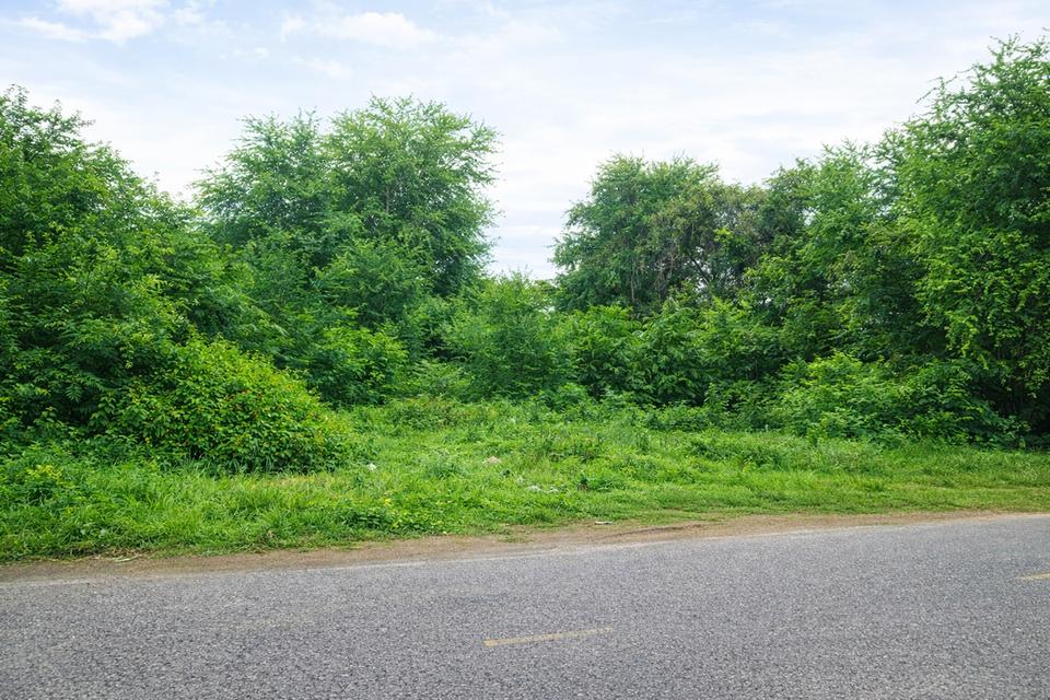 ขายที่ดินเปล่าแปลงสวย ทำเลดี ใกล้โรบินสัน กาญจนบุรี 3