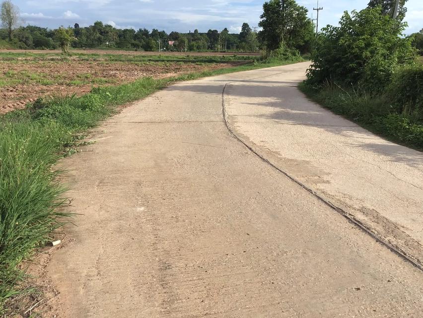 ที่ดิน 5 ไร่ 1 งาน โฉนด นส.4 จ 2