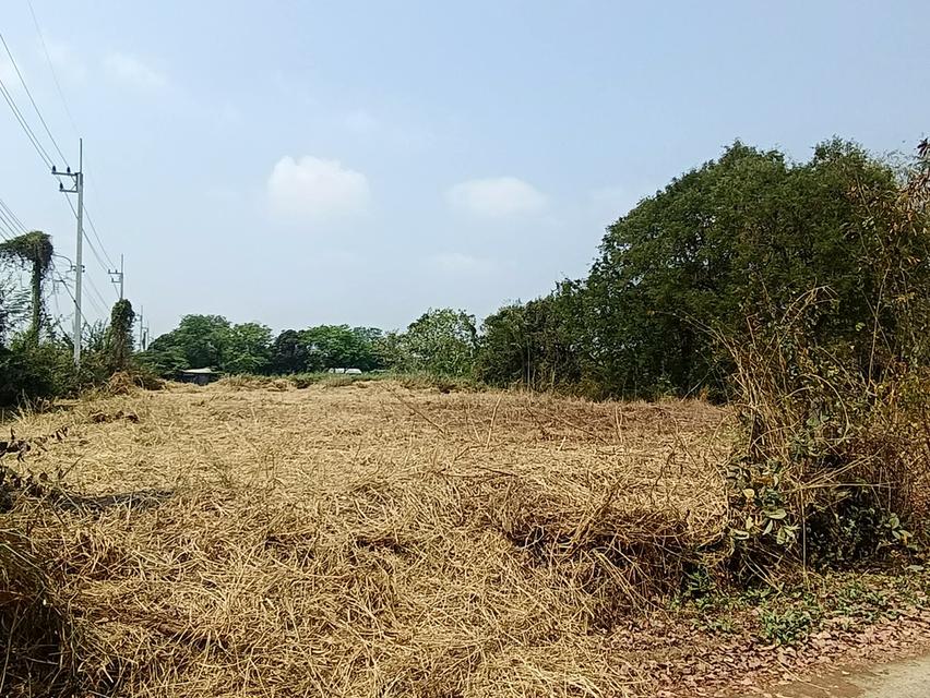 ที่ดินเส้นของปูนหน้าธนาคารออมสินตำบลท่าเรืออำเภอท่าเรือจังหวัดพระนครศรีอยุธยา 2