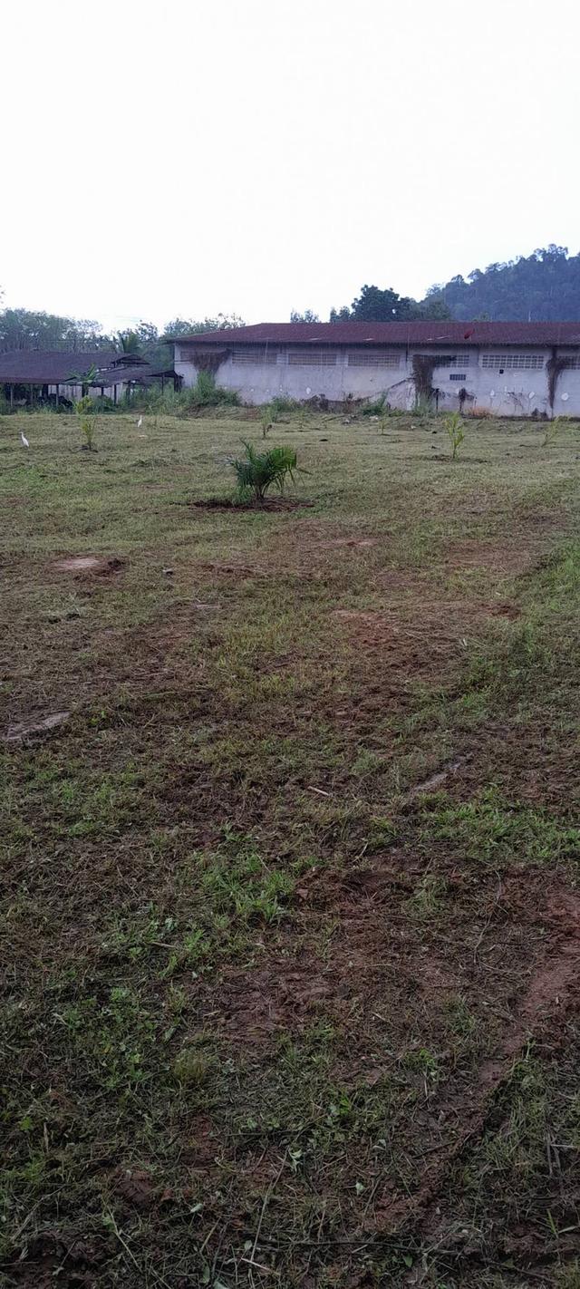 ขายที่ดินพร้อมสิ่งปลูกสร้าง 7