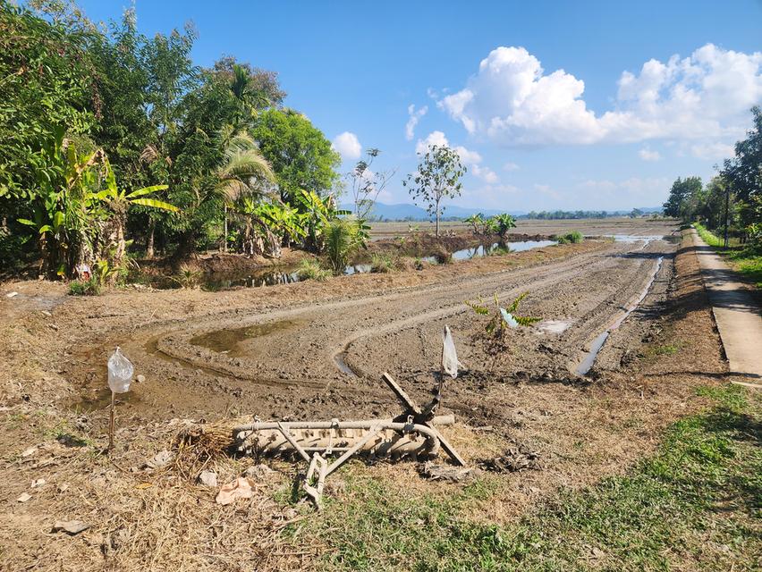 ขายที่ดิน ที่นาพร้อมบ่อปลา หมู่ 3 ต.เวียงเหนือ อ.เวียงชัย จ.เชียงราย ขนาด 2ไร่ 3 งาน 28 ตรว.มีทางเข้าออก สาธารณะ +ไฟฟา/น้ำปะปา เข้าถึง ราคา 9 แสนบาท ส 2