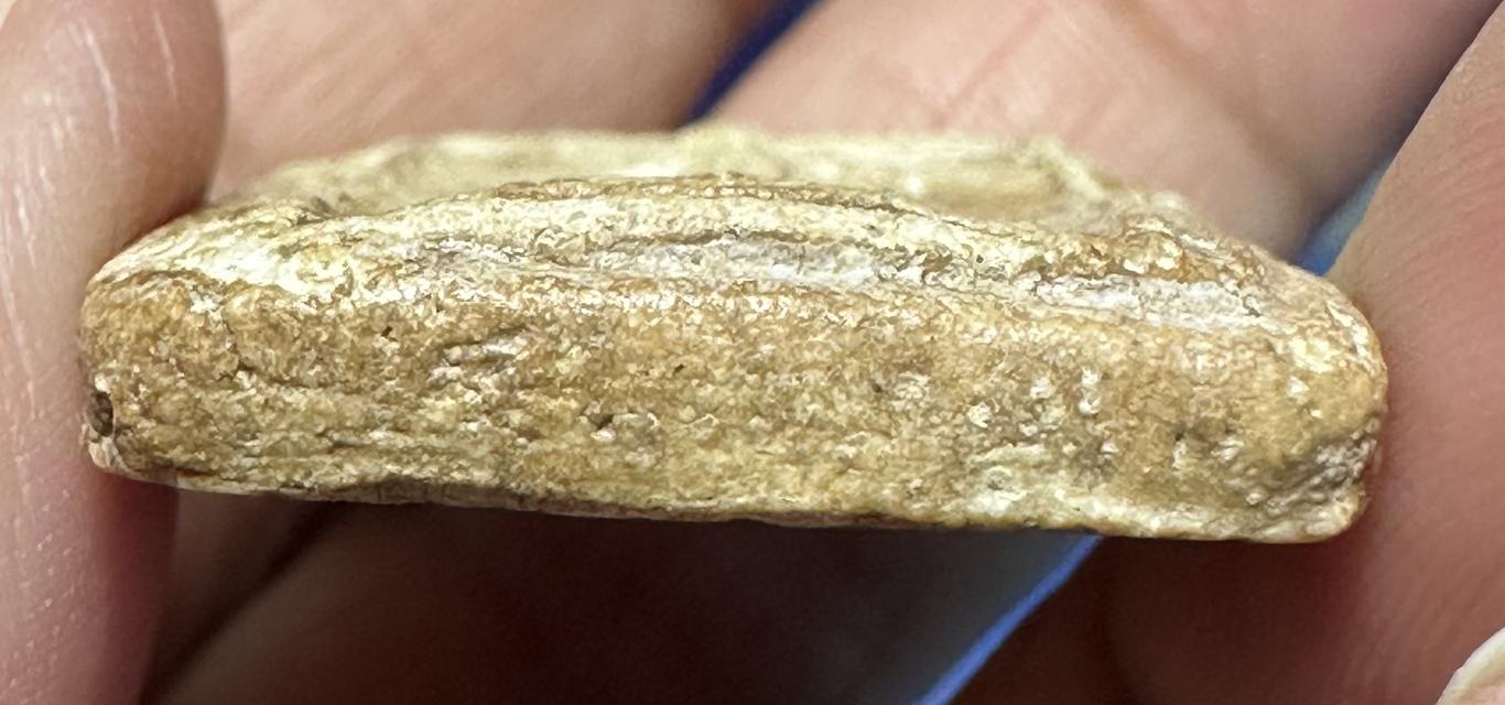 พระสมเด็จ วัดเกศไชโย เก่าเดิม 6