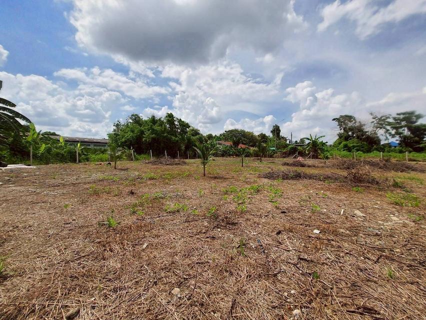 ขายด่วน ที่ดินพุทธมณฑลสายสาม 360 ตารางวา ถมแล้วทั้งแปลง ซอย 19 แยก 6-12 เขตทวีวัฒนา กทม. 7