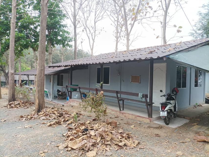 ขายที่ดินพร้อมสิ่งปลูกสร้าง ต.เชิงดอย อ.ดอยสะเก็ด จ.เชียงใหม่ 6