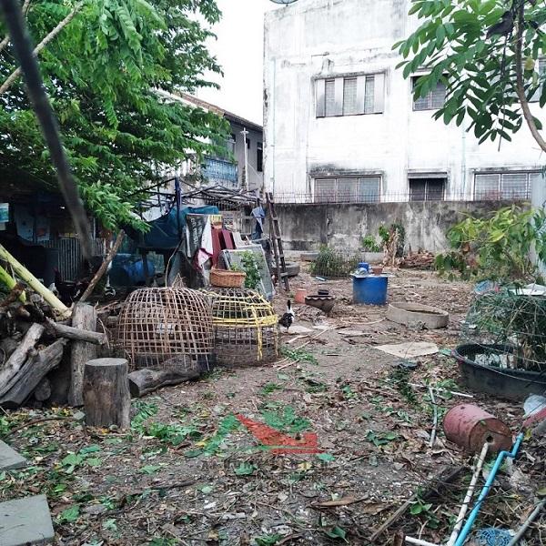 ขายถูก ที่ดินเพชรเกษม 55ตรว. (12x18ม.) ซ.เลียบคลองภาษีเจริญฝั่งเหนือ4 ถมแล้ว 3