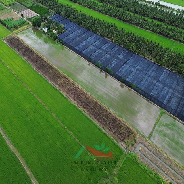 ขายที่ดิน6-0-45ไร่ ต.รางพิกุล อ.กำแพงแสน จ.นครปฐม ราคาพร้อมคุย