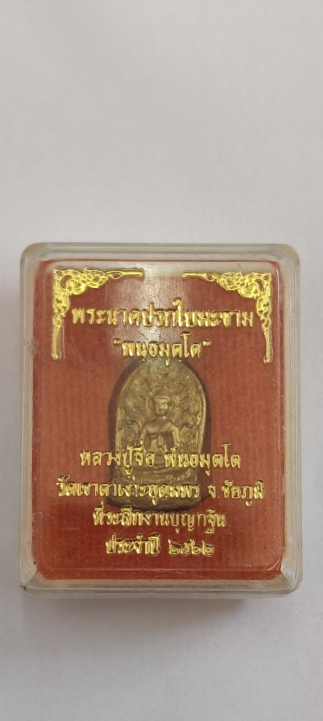 พระนาคปรกใบมะขาม "พันธมุตโต" รูปที่ 2
