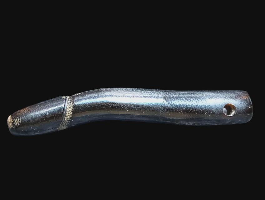 ปลัดขิกไม้กัลปังหาหลวงพ่อกี๋ วัดหูช้าง จังหวัดนนทบุรี