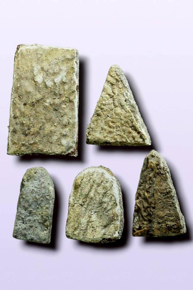 พรวมพระเนื้อว่านหน้าเงิน รูปที่ 2