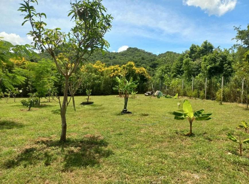 ขายที่ดินพร้อมบ้านเขาใหญ่ ปากช่อง 1.5 ไร่ หนองน้ำแดง ใกล้ถนนธนะรัชต์ มอเตอร์เวย์ M6 ห้างแม็คโคร วิวเขาสวยล้อมรอบที่สูงน้ำไม่ท่วม ใกล้โรงพยาบาล ตลาด 15