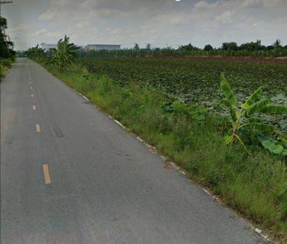 รูป ขาย ที่ดิน ติดถนน ติดน้ำ 393 ตร.วา คลองโยง พุทธมณฑล 4