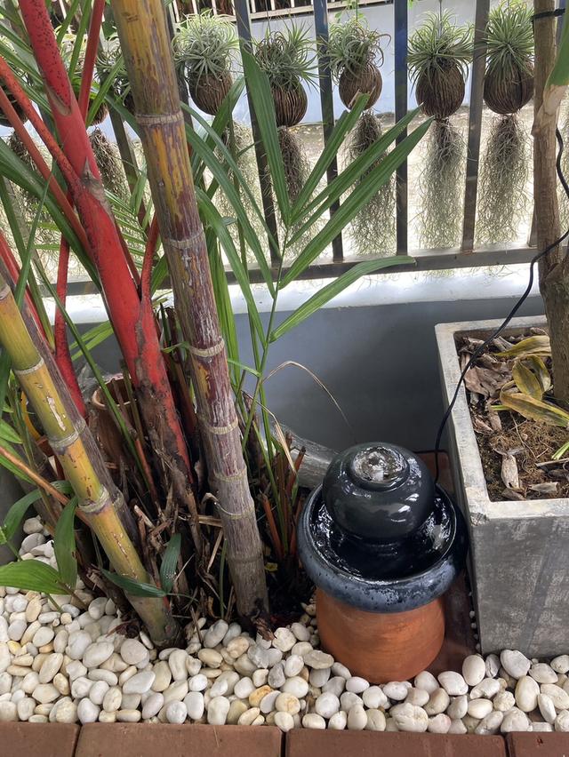 ขายบ้านทาวเฮาส์ 1 ชั้นทำเลทอง ตรงข้ามโรบินสันฉลอง บ้านหลังมุมหน้าสวนหน้าบ้านไม่ติดใครตกแต่งไว้พร้อมอยู่ 2