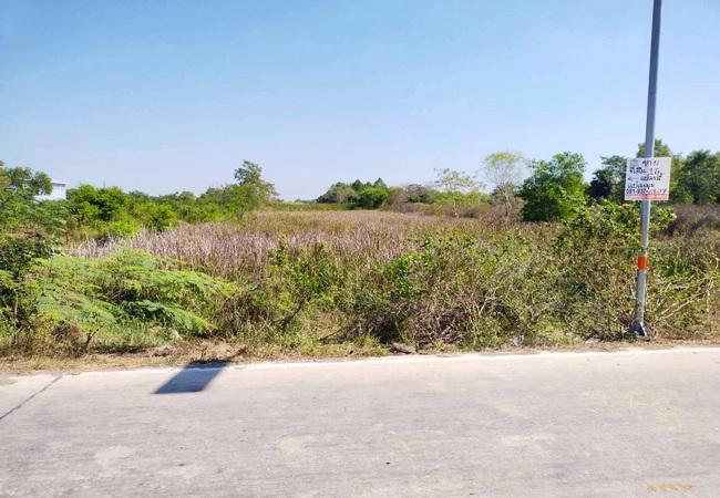 ขายที่ดิน ซอยคลองสาม 11/21 ติดคลองแอน ถนนคลองหลวง อำเภอคลองหลวง ปทุมธานี 2