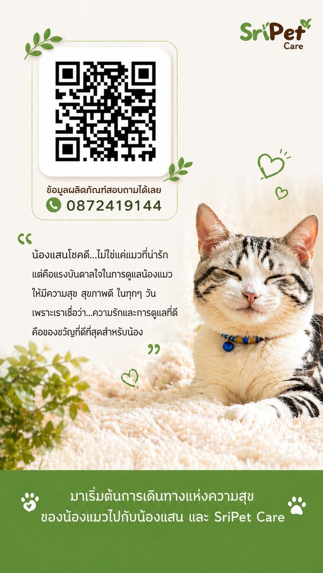 แผ่นเช็ดสมุนไพร ทำความสะอาดใบหูและผิว  สำหรับแมว รูปที่ 3