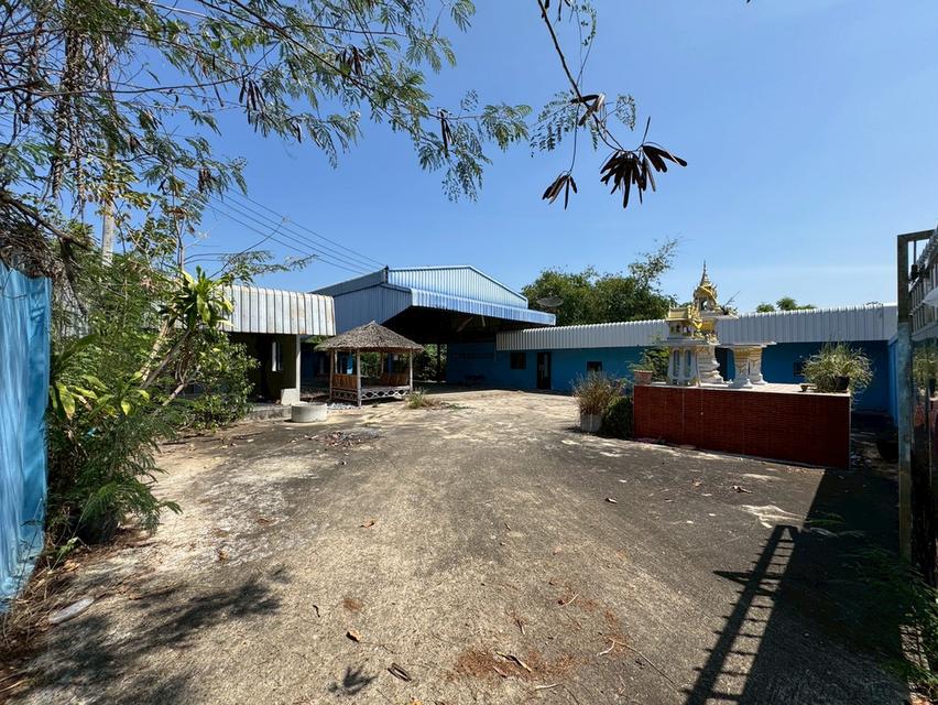 🔥 ขายด่วน โกดัง/โรงงาน ทำเลทอง ต.สวนป่าน อ.เมืองนครปฐม ใกล้มอเตอร์เวย์ M81 5