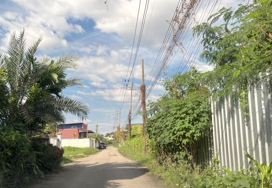 ขายที่ดิน 1 ไร่ ถนนนวมินทร์ ใกล้ทางด่วนเอกมัยรามอินทรา 098 7755 808 1