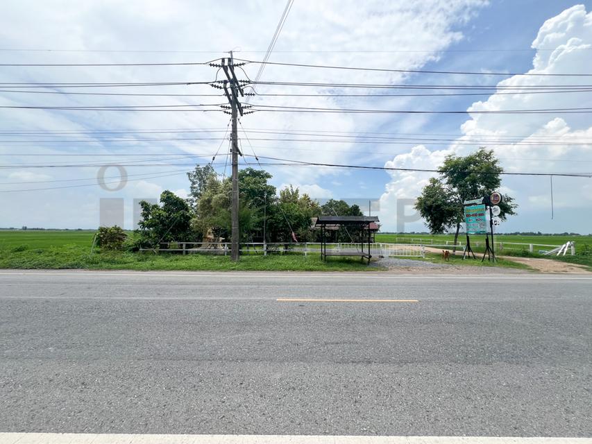 ขาย ที่ดินจัดสรร ลำลูกกา คลอง16 องครักษ์ 1